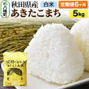 【ふるさと納税】米 新米 《定期便6ヶ月》秋田県産 あきたこまち 5kg【白米】令和6年産