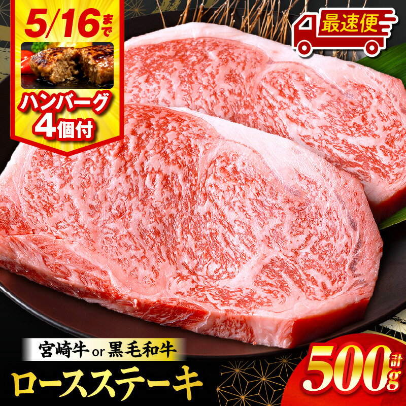 【ふるさと納税】【発送時期が選べる】【期間・数量限定】畜産農家応援！宮崎牛or黒毛和牛ロースステーキ250g×2・国産牛ハンバーグ100g×4個 総合ランキング1位 宮崎牛 黒毛和牛 肉 ロースステーキ ロース ステーキ 人気 牛肉 焼肉 宮崎牛ステーキ 国産 キャンプ 宮崎市