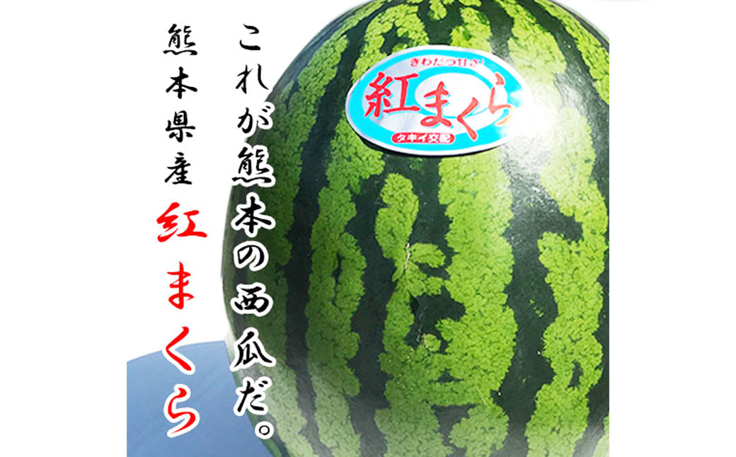 熊本県産スイカ 紅まくら 約5kg	