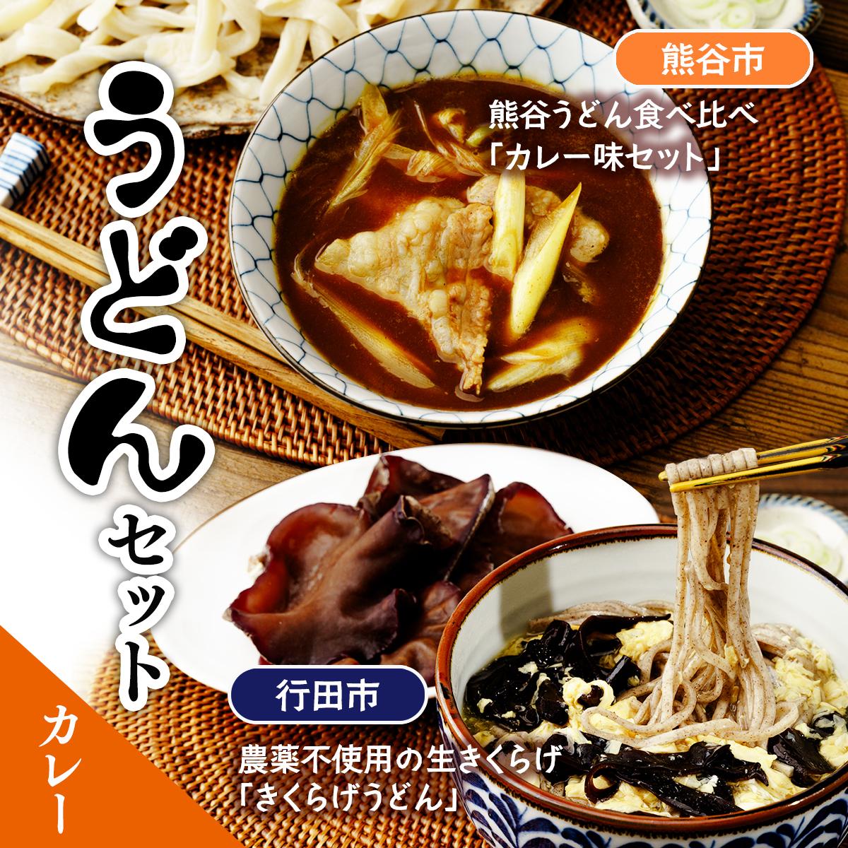 【ふるさと納税】うどんセット（カレー） | うどん 乾麺 きくらげ 乾燥きくらげ カレー カレーうどん 麺 麺類 食べ比べ 小麦 埼玉県 埼玉県庁