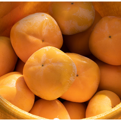 
                  R6年10月中下旬～11月発送糖度に自信あり刀根早生発祥の地より直送種なし柿L・2L18～16個【1233077】
                