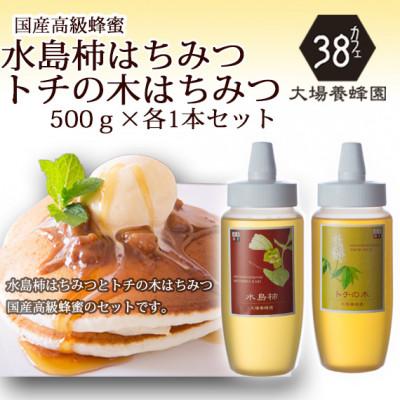 ふるさと納税 富山市 富山県産水島柿蜂蜜500g×1本・トチの木蜂蜜500g×1本　セット