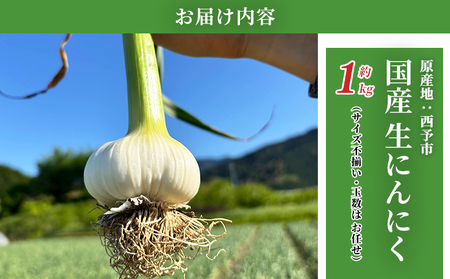【先行予約】＜生にんにく サイズ混合 約1kg＞ 国産 ニンニク 生 野菜 香味野菜 薬味 大蒜 ガーリック 1キロ 西予市産 旬 旬の野菜 生ニンニク 農産物 おすそ分け 自宅用 家庭用 ノムランド