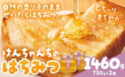けんちゃんちのはちみつ 730g 2個セット《30日以内に出荷予定（土日祝除く）》ふるさと納税 はちみつ ハチミツ 蜂蜜 国産蜂蜜 天然蜜蜂 徳島県 佐那河内村 送料無料
