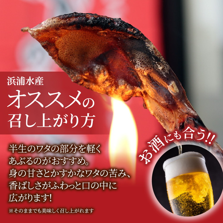 ほたるいか 素干し 160g (20g×8袋 )セット |  浜浦水産 おつまみ つまみ 珍味 いか イカ 干物 ひもの 魚介 魚介類 海鮮　※北海道、沖縄、離島への配送不可_イメージ3