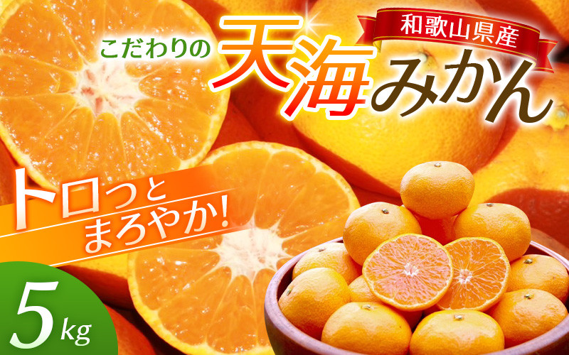 
            中山農園自慢 天海みかん 完熟宮川早生５kg 【期間限定】/ みかん 和歌山 ミカン フルーツ 果物 早生みかん 柑橘 田辺市 紀州田辺 甘い 【nak006-1】
          