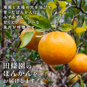 【早期予約 2025年2月上旬より順次発送】 訳ありぽんかん 5kg サイズ混合 無農薬 ポンカン ポンカン ポンカン ポンカン ポンカン TJ0021