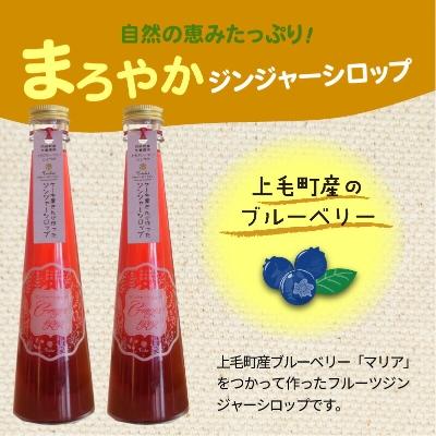ふるさと納税 上毛町 【上毛町産ブルーベリー使用】ジンジャーシロップ　2本セット |  | 01