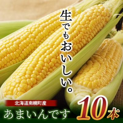 北海道産 とうもろこし あまいんです 10本 令和6年配送 朝採れ 一番果