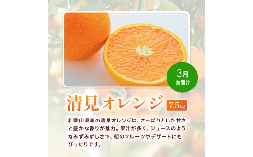 ＼たっぷり23.5kg！／【3か月定期便】訳ありみかんの定期便 / 温州みかん 不知火 清見オレンジ 定期便 果物 柑橘 由良町 フルーツ くだもの 産地直送 ミカン 和歌山【tkb113】