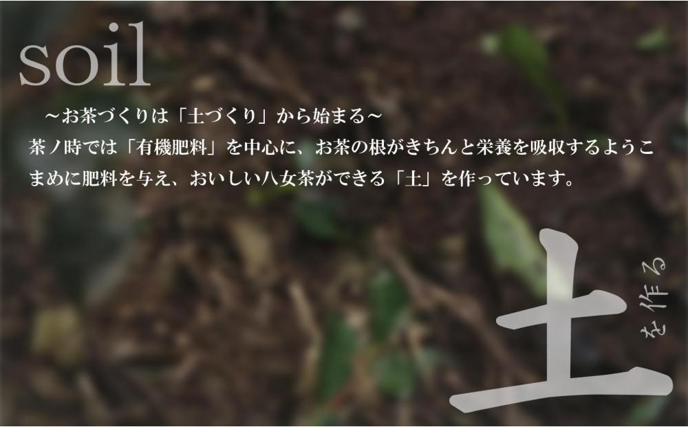 原田茶園 玉露ティーバッグ 雅歌 2袋(56g/14包)【八女茶】