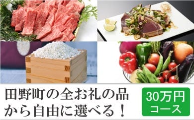 【四国一小さなまち】！年末限定！ 返礼品は後からゆっくり選べる寄附コース  ★C★ ～2023年度版～