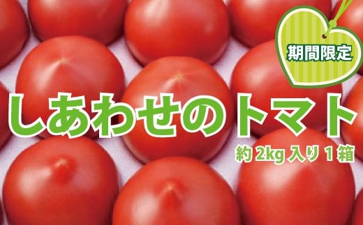 
しあわせのトマト箱詰（小）
