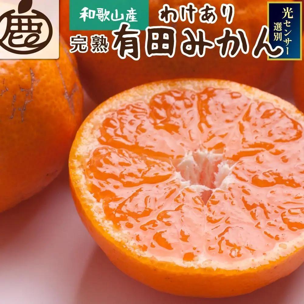 ［先行予約］家庭用 有田みかん（完熟）2.5kg+250g（傷み補償分）
