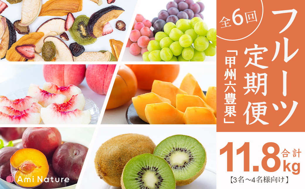 フルーツ定期便≪豊≫全5回　旬の果実をお届け3-4名様