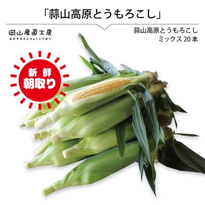 蒜山高原 とうもろこし ミックス20本 【配送不可地域：北海道／沖縄県／離島】【jujy004-02】
