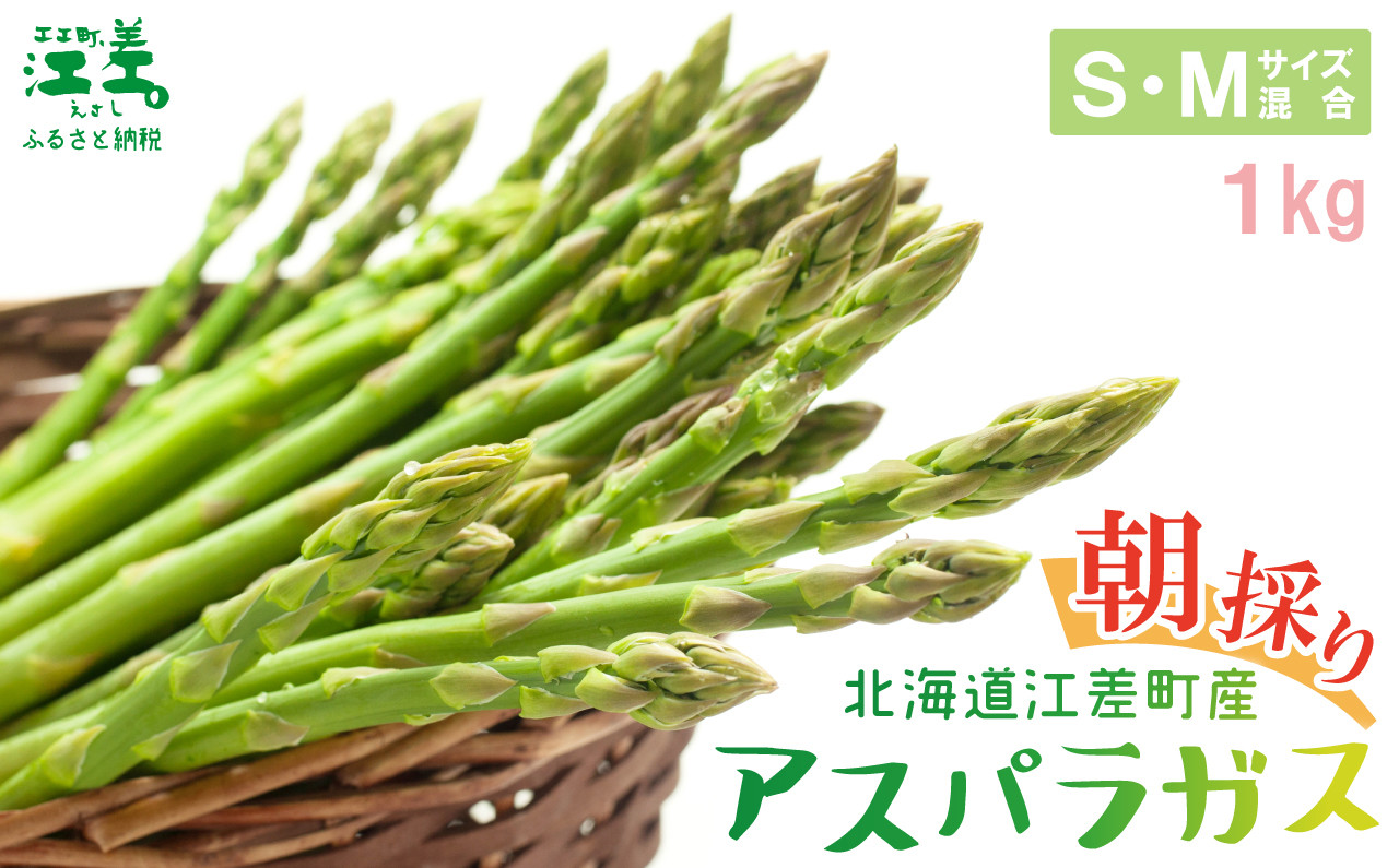 
            【夏芽順次収穫中】2025年 北海道江差町産 アスパラガス【S～Mサイズ】 1kg　40～50本　朝採り　農家直送　新鮮　鮮度保持　北海道　旬野菜　グリーンアスパラ　アスパラ　ギフト　贈答
          
