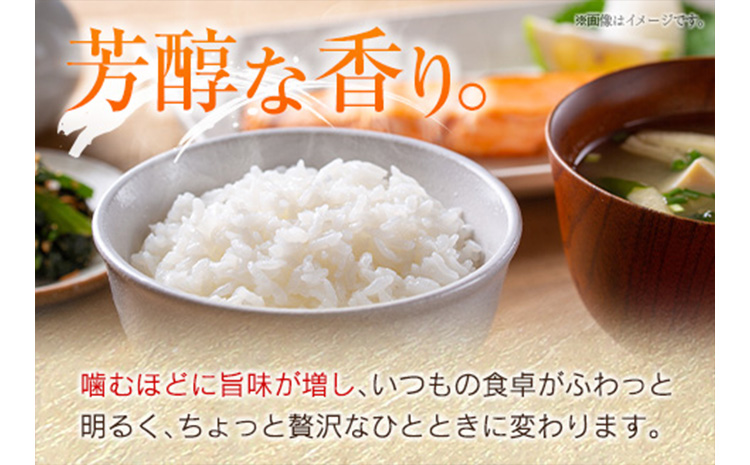 ＜訳あり＞令和７年産　新米コシヒカリ5kg 宮崎県新富町産【B679】