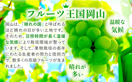 岡山県産 無加温栽培 つる付き シャインマスカット 1房 (680g以上) 【配送不可地域あり】 《9月上旬-11月上旬頃に出荷予定》 岡山県 矢掛町 マスカット ぶどう 葡萄 果物