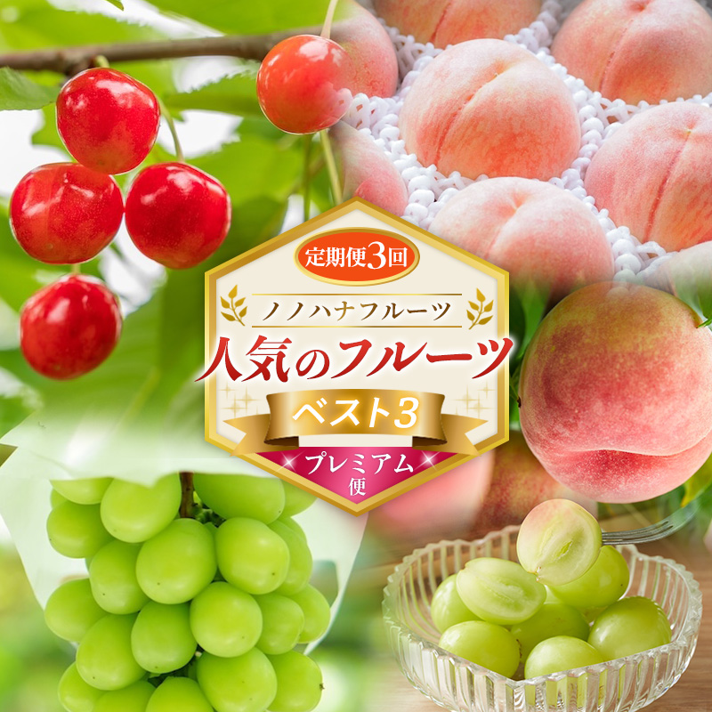 【定期便3回】ノノハナフルーツ 人気のフルーツベスト3 プ