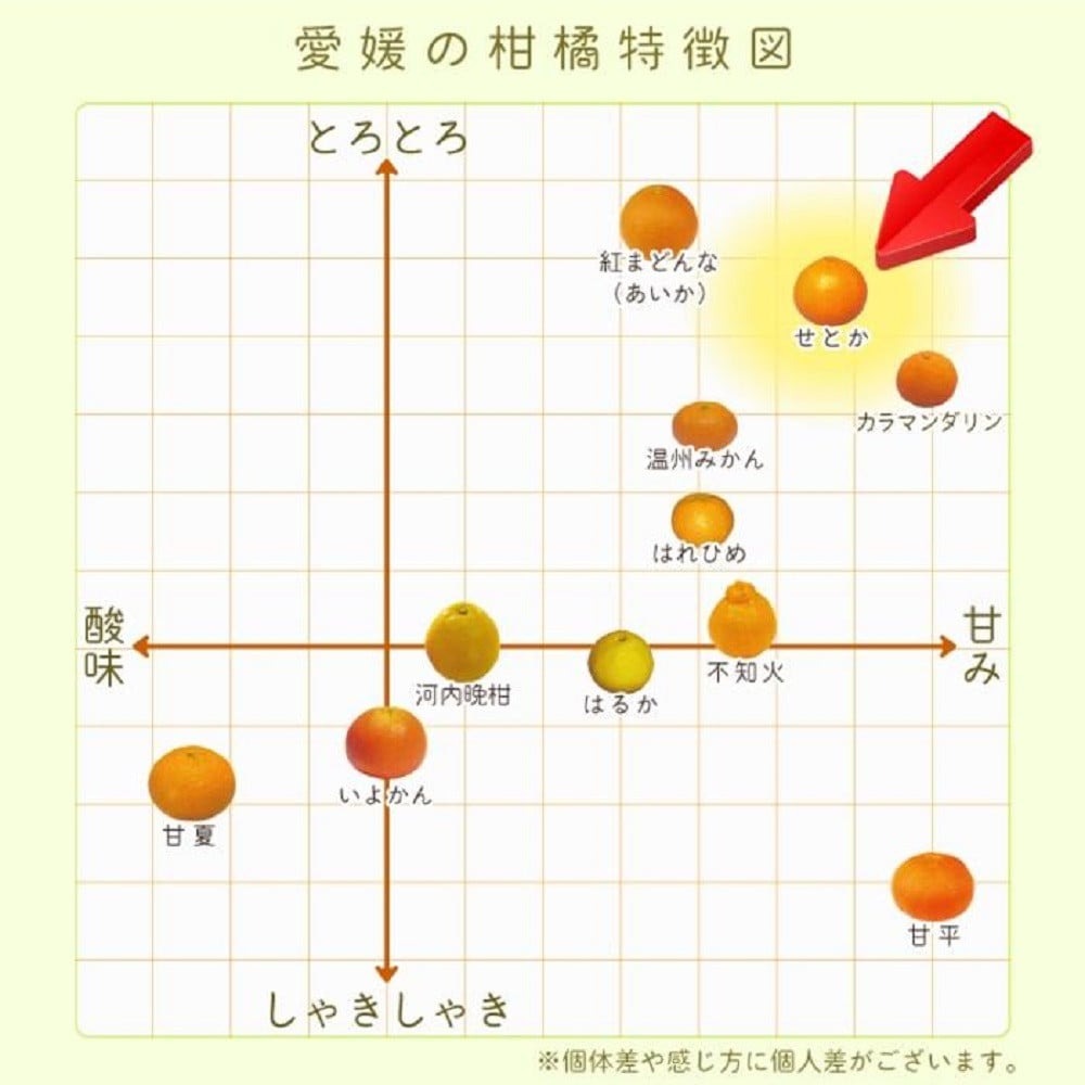 愛媛県産せとか（露地）約5kg 秀品 2L~M サイズ 【高島屋選定品】 【2027年2月中旬頃から順次発送】 | フルーツ 果物 みかん オレンジ 柑橘 せとか 愛媛県 松山市