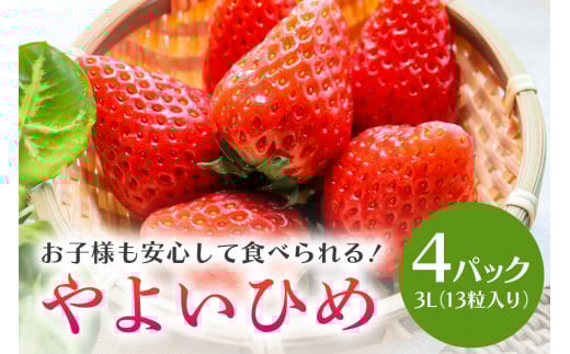 【数量限定・先行予約】やよいひめ 3L（13粒入り）×4パック 1kg以上 いちご イチゴ 苺 フルーツ 果物 くだもの ＜2026年1～3月発送予定＞ （茨城県共通返礼品 石岡市） 71-B
