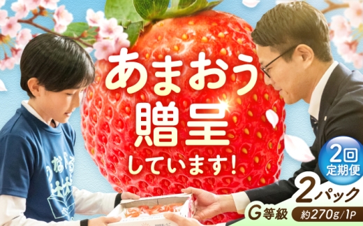 【2回定期便】 あまおうG等級 1ケース（270g×2パック） 広川町 / JAふくおか八女農産物直売所どろや [AFAB083]
