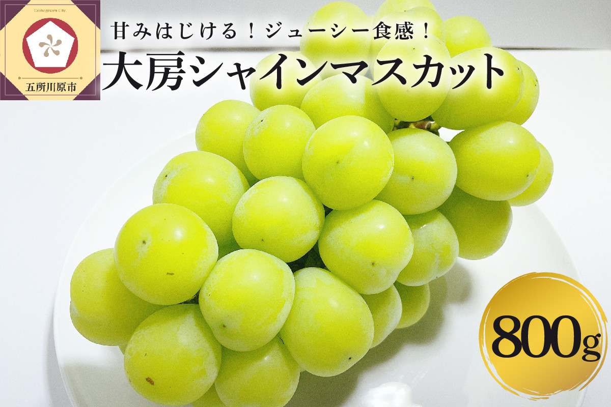 
【選べる配送時期】 シャインマスカット 大房 800g 青森産
