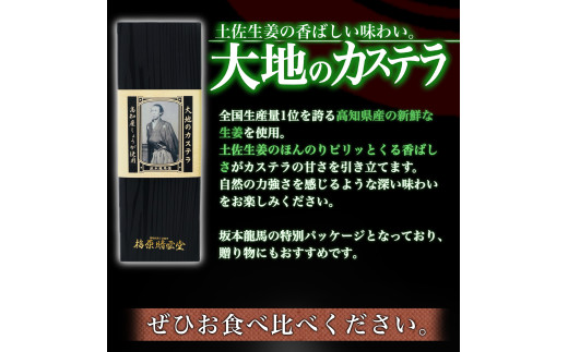 大地のカステラ  国産 スイーツ デザート 焼き菓子 ケーキ 高知県 須崎市 MK025