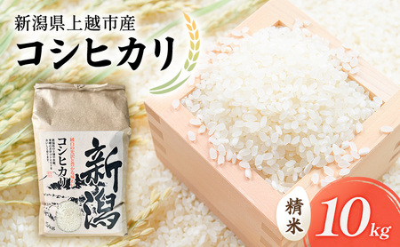 新米 令和7年 新潟県上越市産 コシヒカリ（特別栽培米） 10kg 10キロ 米 こしひかり 山本農園 ご飯 精米 新潟 上越
