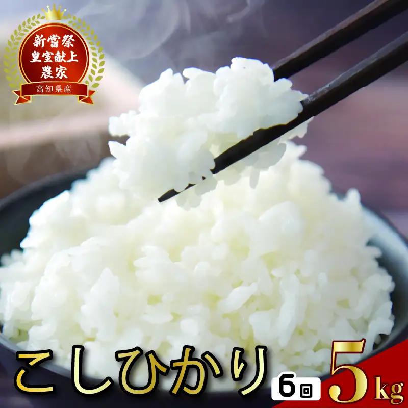 【こしひかり】令和8年度産 5kg×4回 こしひかり 米 AS005