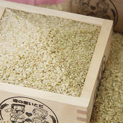 ふるさと納税 糸田町 いとだ泌泉米 (玄米 10kg) |  | 01