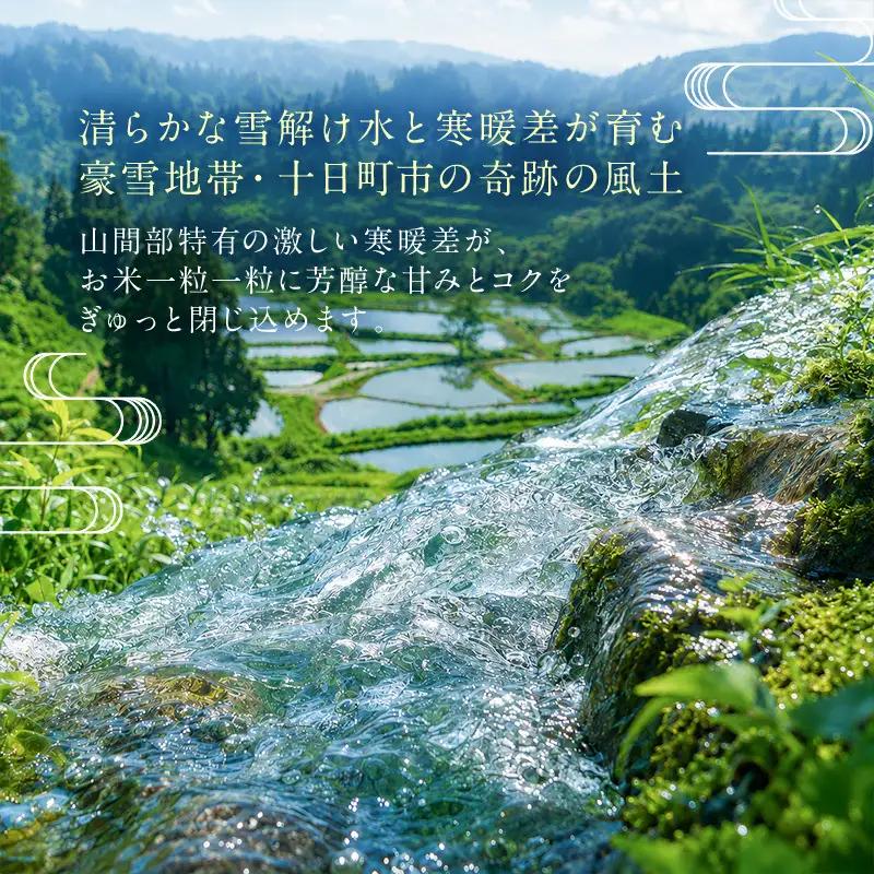 【令和8年産 先行予約】無洗米「3カ月定期便」食味鑑定士厳選！５ｋｇ×３回 白米 安心 安全 こだわり 米 コシヒカリ 定期 新潟県 十日町市