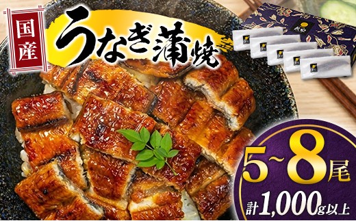 
                  国産 うなぎ 蒲焼 5~8尾 計1kg以上 鰻 蒲焼き ウナギ 人気 おすすめ ギフト うなぎ蒲焼 小分け 惣菜 おかず 個包装 冷凍 丑の日 贈答 プレゼント 国産うなぎ レンジ 湯煎 unagi 山椒 たれ付き 宮崎県産
                