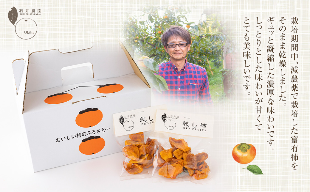 石井農園 乾し柿 70g入り×3個セット ドライフルーツ