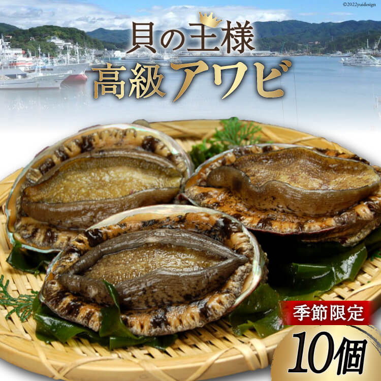 【ふるさと納税】【期間限定発送】 三陸産 アワビ 10個 [さんりくみらい 宮城県 気仙沼市 20564206] 魚貝類 魚介類 鮑 あわび エゾアワビ 季節限定 期間限定 高級 冷蔵 感想