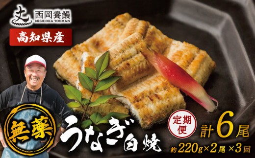 完全無投薬 鰻白焼 国産 定期便 計6尾 ( 220g × 2尾 × 3回 ) うなぎ白焼 鰻 厳選 無薬 うなぎ 白焼き 白やき 国産うなぎ 国産鰻 人気 鰻白焼き 特製タレ 山椒 セット 湯煎 簡単調理 旨味 風味 香ばしい うな重 土用の丑の日 スタミナ食 ギフト 贈り物 贈答 お取り寄せ グルメ 高級 うなぎ料理 こだわり 冷凍 高知県産 ランキング おすすめ 西岡養鰻 安芸市 高知県