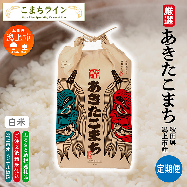 《令和7年産》【12か月定期便】《白米》あきたこまち なまはげ 米袋 米 20kg(5kg×4)×12回 一等米 ギフト パッケージ 限定デザイン 紙袋 リメイク 工作 お面 こども お土産 秋田 潟上市 【こまちライン】
