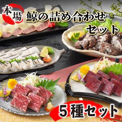 ふるさと納税 下関市 下関鯨屋 日新丸 鯨の詰合せ 5種(竜田揚、赤身肉、尾の身、本皮スライス他) 下関 山口 FG040