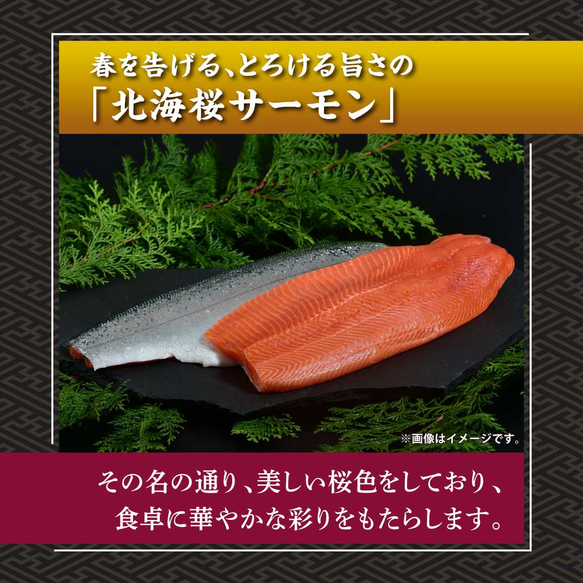 北海桜サーモン 1本活締め 2~3kg 新鮮 刺身 冷蔵 陸上養殖 生食可 桜色 トラウト サーモン 鮭 生鮭 サケ さけ 一本 1匹 一匹 姿 まるごと 国産 北海道産 道産 松前産 産地直送 お取