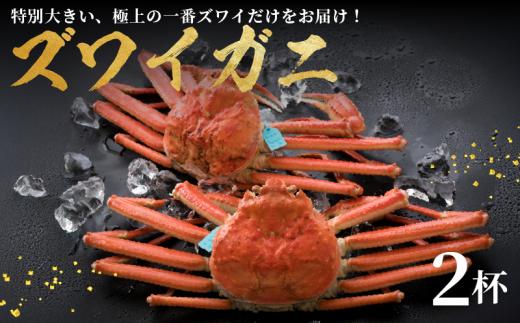 【味覚の王様 加能ガニ ・ 姫丸 の 一番 ズワイガニ 】 1 - 3月 配送  1番ズワイ 茹で上げ後 約 1.0kg × 2杯