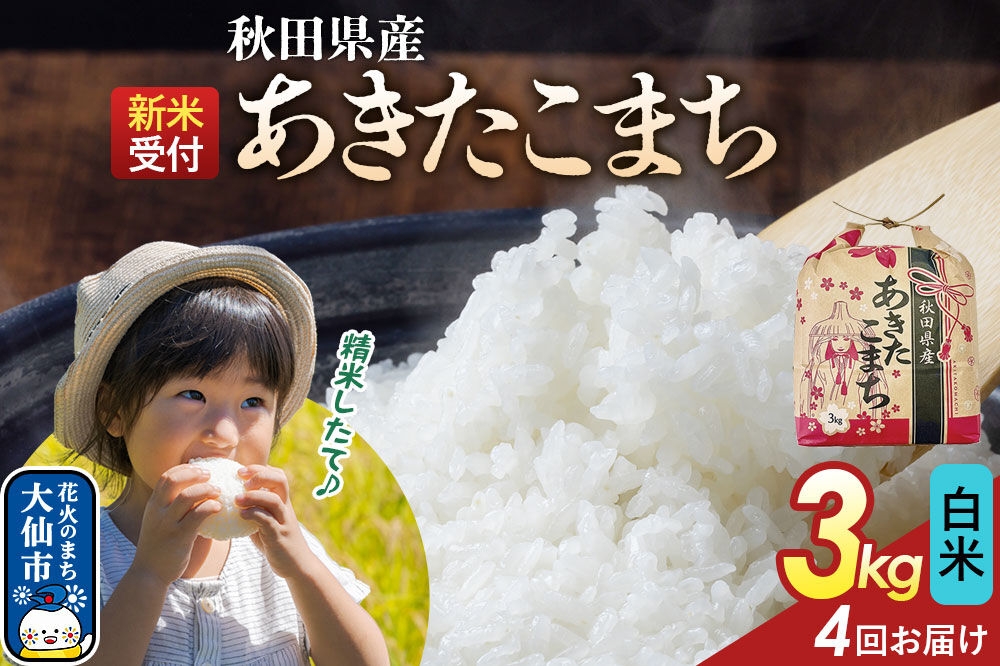 
                  《令和8年産新米予約》 《定期便4ヶ月》あきたこまち【白米】3kg 秋田県産 こまちライン 秋田県 大仙市産 [こまちライン あきたこまち ブランド米 お米 白米 精米 米どころ 秋田 秋田県産]
                