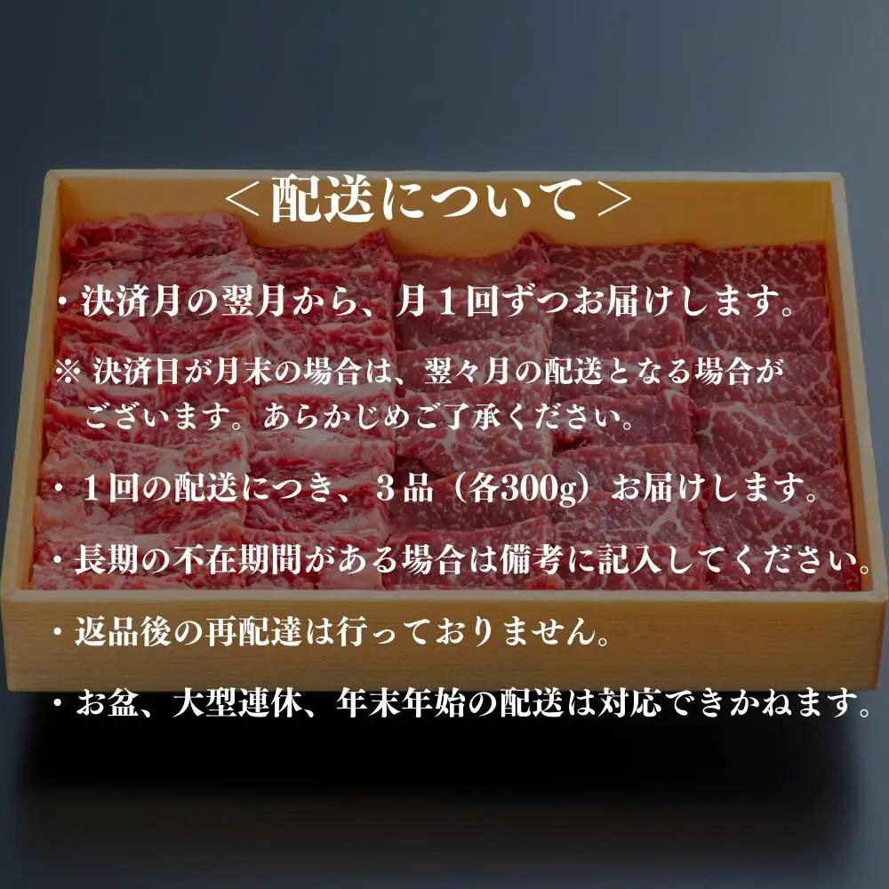 【定期便】豊後・米仕上牛 食べつくし【極】 牛