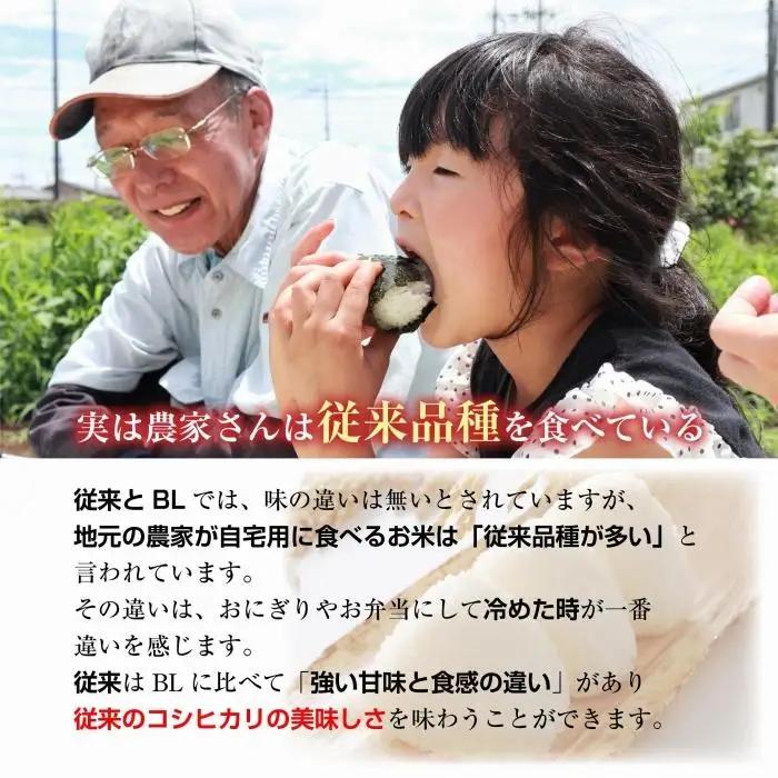 ｜定期便｜ 新潟県 南魚沼産 コシヒカリ 【従来品種】塩沢地区 お米 10kg × 6回 毎月発送 精米済み（お米の美味しい炊き方ガイド付き）