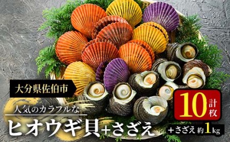 ヒオウギ貝(10枚)とサザエ(約1kg) 魚介 貝 ヒオウギ貝 ひおうぎ貝 サザエ さざえ 栄螺 酒蒸し 網焼き バター焼き バーベキュー 獲れたて 冷蔵 海の直売所 大分県 佐伯市【AS120】【海