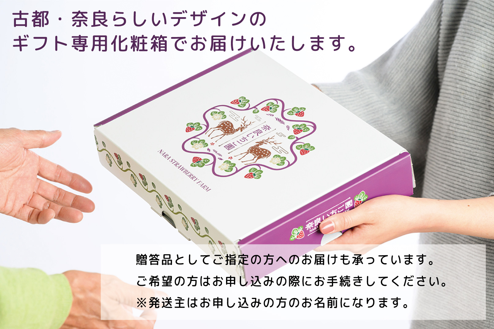 【2・3・4月発送】奈良県特産 高級ブランドいちご「古都華」旬の３ヶ月定期便 // いちご イチゴ 古都華 フルーツ 果物 旬 限定 ブランド いちご イチゴ 古都華 フルーツ 果物 旬 限定 ブラン