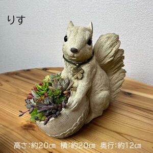 多肉植物の寄せ植え（りす） _FC09
