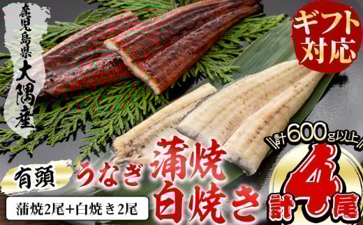 【お中元7月】【ギフト対応】楠田の極うなぎ 蒲焼き2尾・白焼き2尾 150g以上×4尾(計600g以上) b6-009-cg7