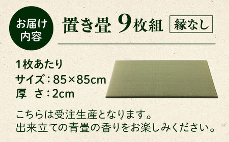 一畳屋 たたみっこ 縁無し 9枚セット　【一般社団法人クラッシーノこうし】[AYAB002]