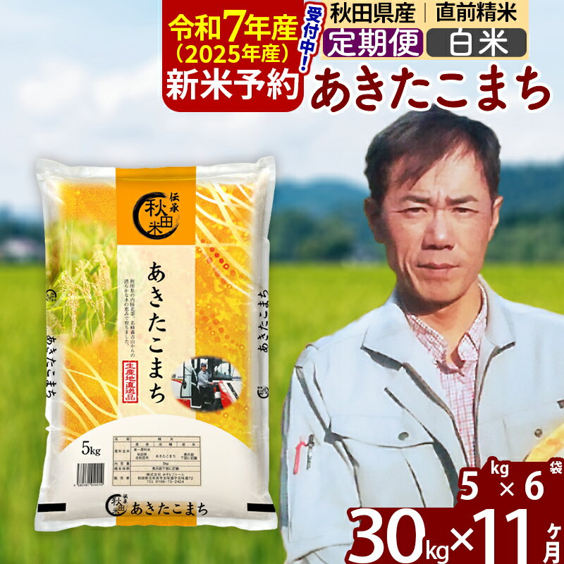 【ふるさと納税】※令和7年産 新米予約※《定期便11ヶ月》秋田県産 あきたこまち 30kg【白米】(5kg小分け袋) 2025年産 お届け周期調整可能 隔月に調整OK お米 みそらファーム